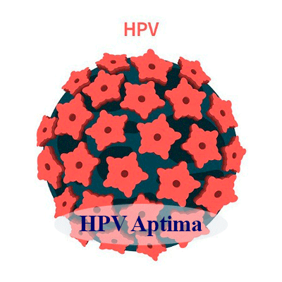 HPV Aptima
