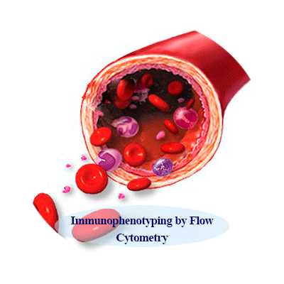 Immunophenotyping by Flow Cytometry