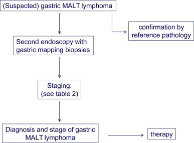 Gastric MALT Lymphoma Diagnostic