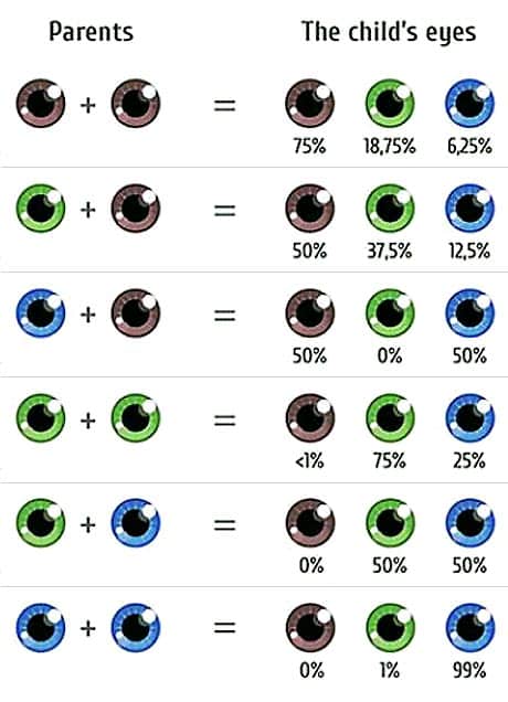 ژنتیک رنگ چشم