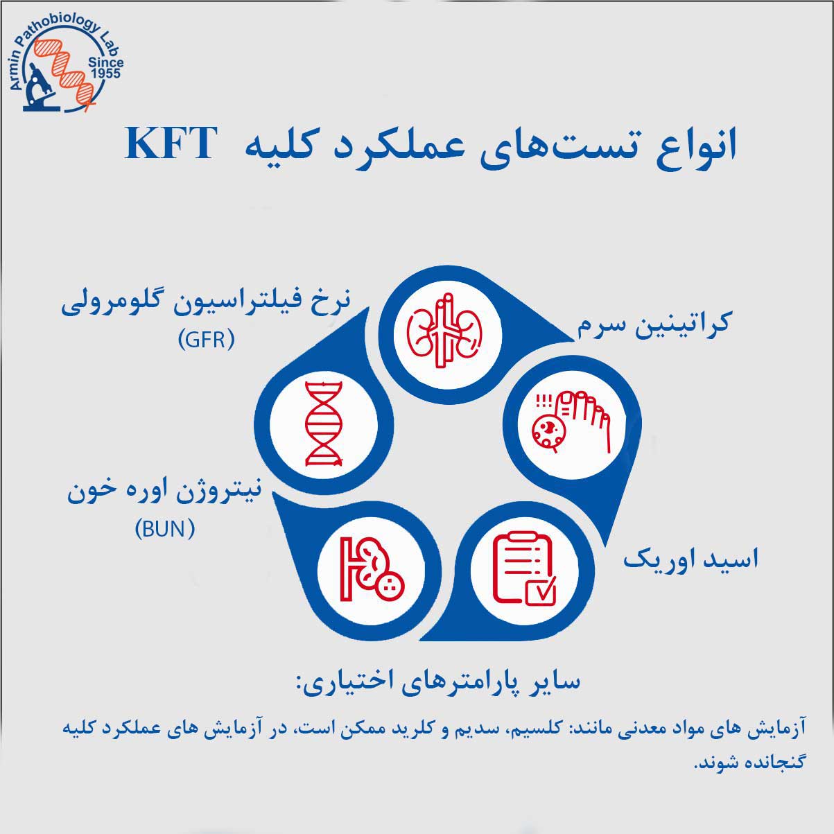 تست های عملکرد کلیه (KFT)
