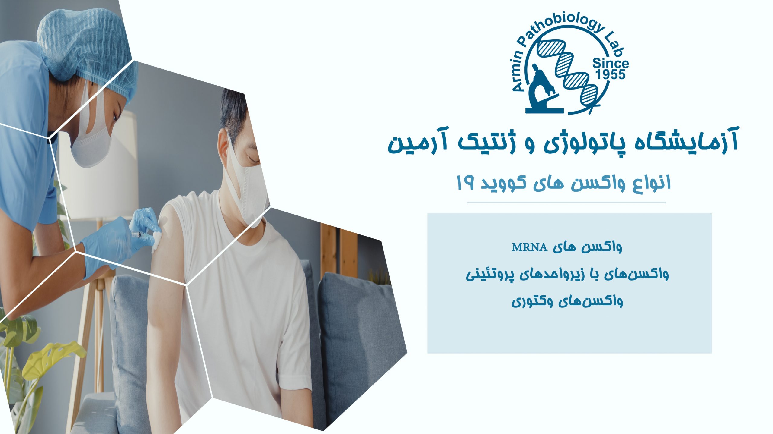 سیستم ایمنی و واکسن های کووید-19