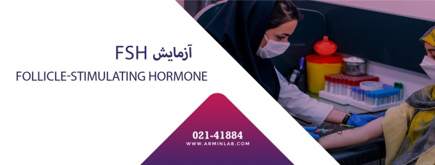 test-FSH-arminlab آزمایش FSH (آزمایش هورمونی)