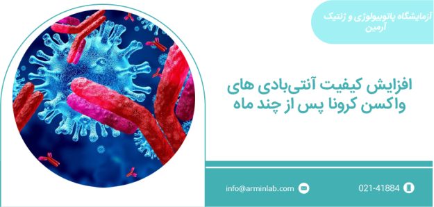 آنتی بادی های واکسیناسیون کرونا ماندگاری آنتی بادی واکسن کرونا
