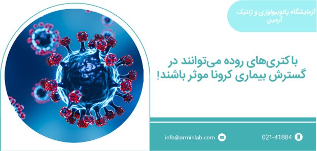 باکتری روده باکتری روده و کرونا