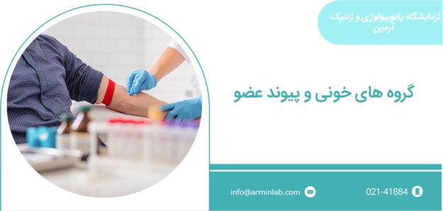 گروه های خونی و پیوند عضو گروه خونی و پیوند عضو