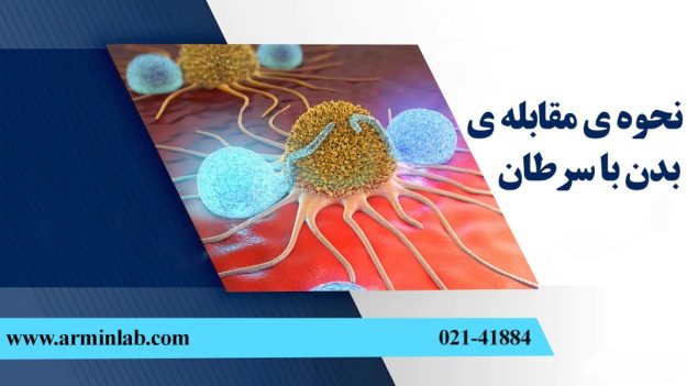 بدن چگونه می‌تواند به سلول های سرطانی حمله کند