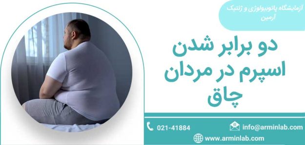 افزایش اسپرم در مردان چاق