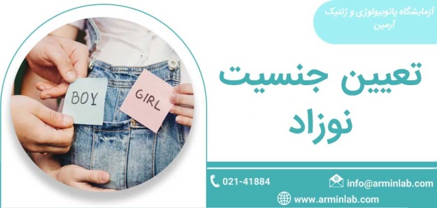 Gender-determination–arminlab تعیین جنسیت نوزاد