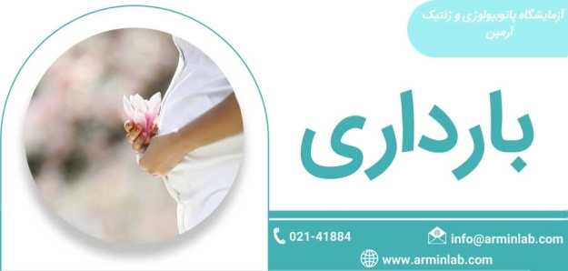 pregnancy بارداری