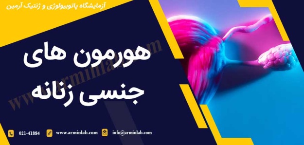 female-sex-hormones-arminlab هورمون های جنسی زنانه