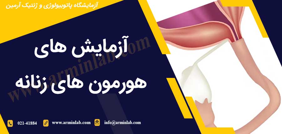 هورمون های جنسی زنانه آزمایشگاه آرمین بهترین آزمایشگاه پاتوبیولوژی و