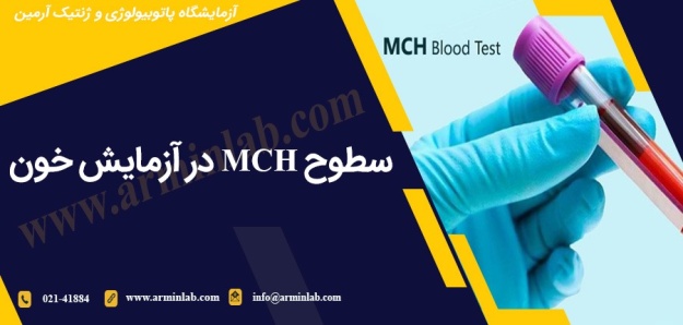 mch—arminlab سطوح MCH در آزمایش خون