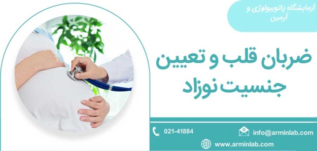 ضربان قلب و تعیین جنسیت نوزاد