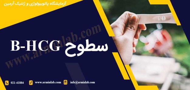 سطوح β-hCG و معنای آن