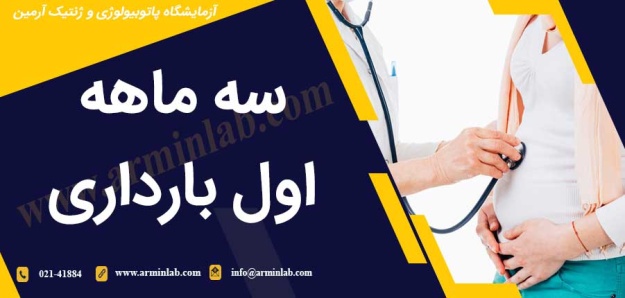 سه ماهه اول بارداری