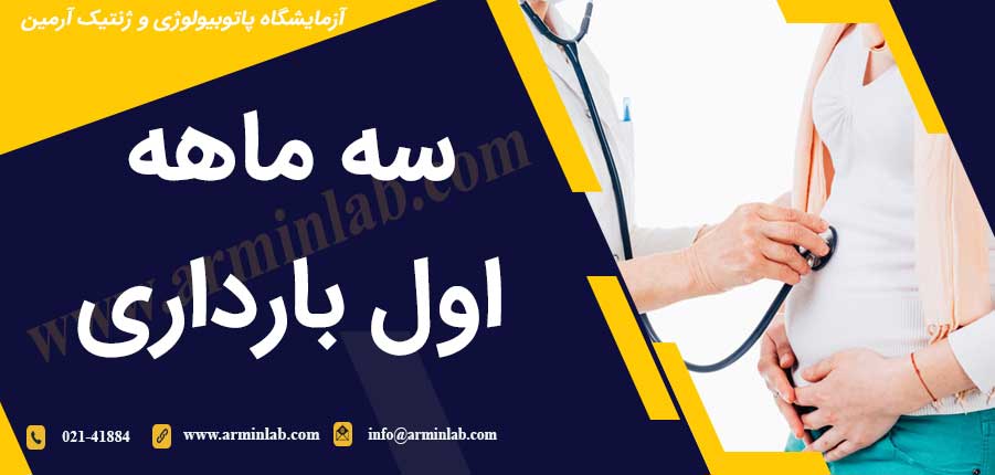 سه ماهه اول بارداری