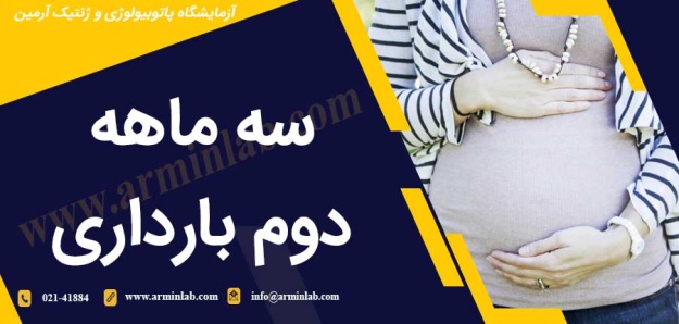 سه ماهه دوم بارداری