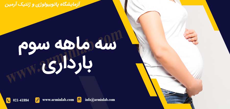 سه ماهه سوم بارداری