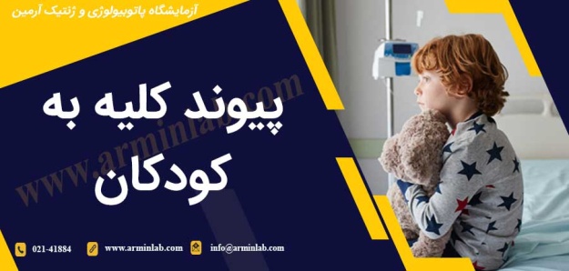 پیوند کلیه به کودکان