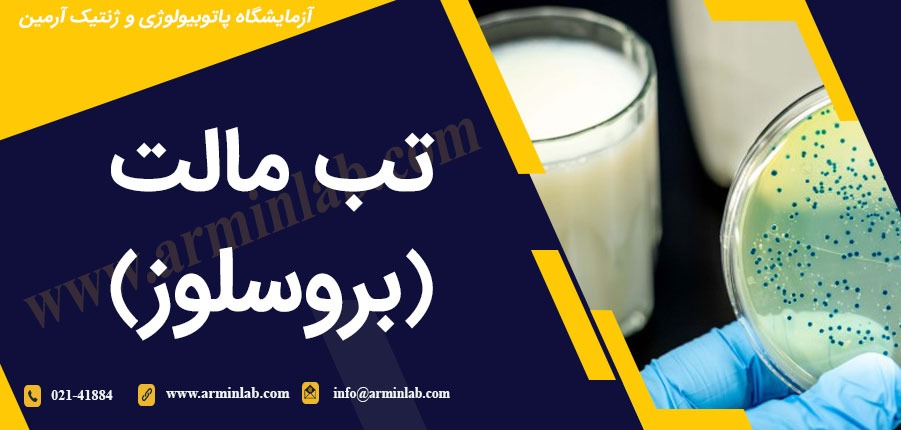 تب مالت (بروسلوز)