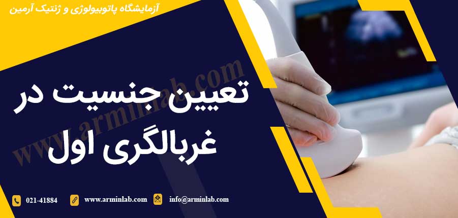تعیین جنسیت در غربالگری اول