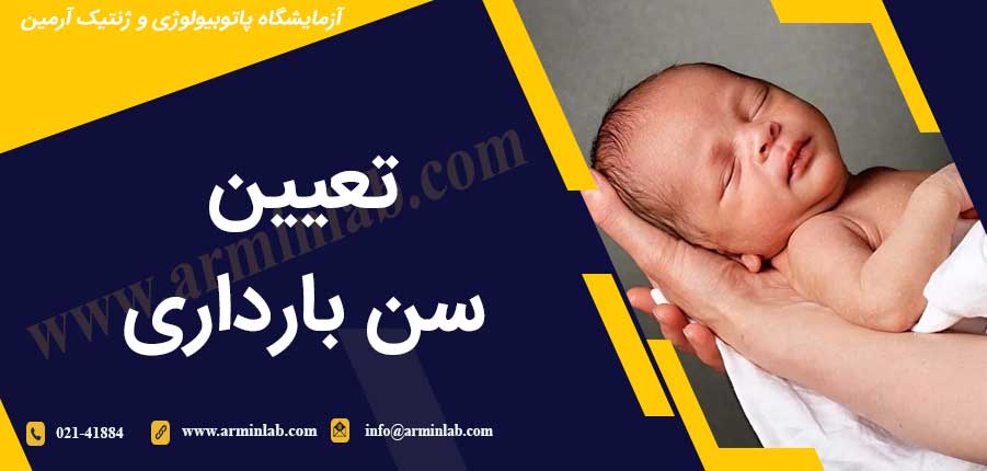 تعیین سن بارداری