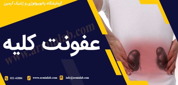 عفونت کلیه