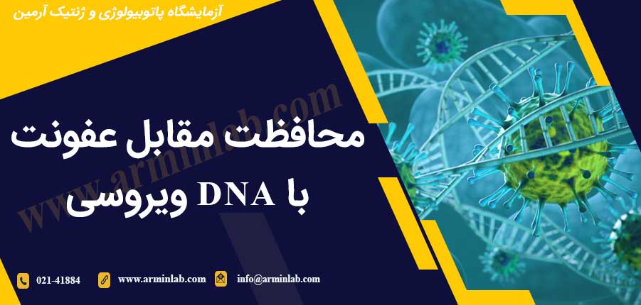 محافظت مقابل عفونت با DNA ویروسی