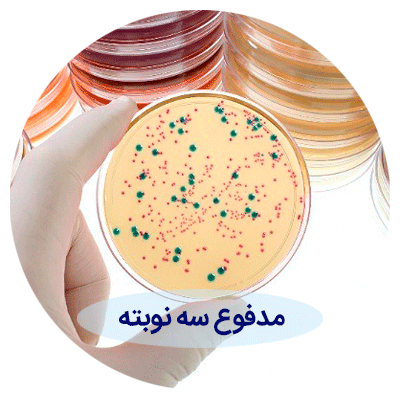 مدفوع-سه-نوبته مدفوع 3 نوبته