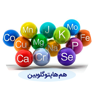 هم-هاپتوگلوبین هم هاپتوگلوبین