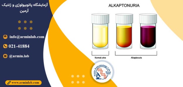 آلکاپتونوری