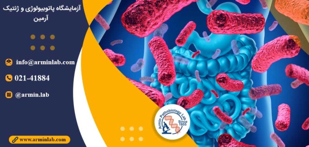 پیوند میکروبیوتای مدفوع