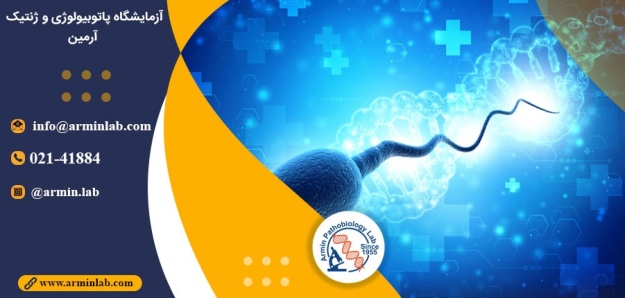 تکه تکه شدن DNA اسپرم