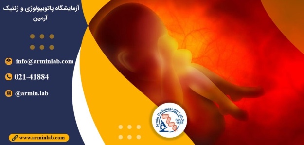 مایع آمنیوتیک چیست؟