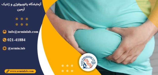 چاقی و سلول های ایمنی