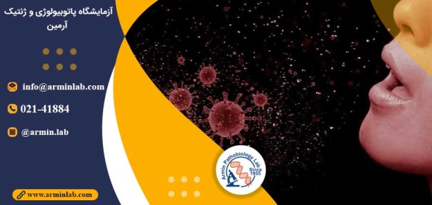 ویروس از بین برنده باکتری