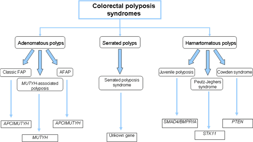 Colonic Adenomatous Polyposis Syndromes Testing