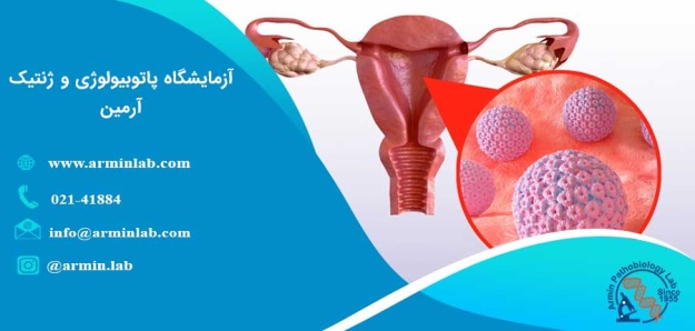 HPV و سایر سرطان ها