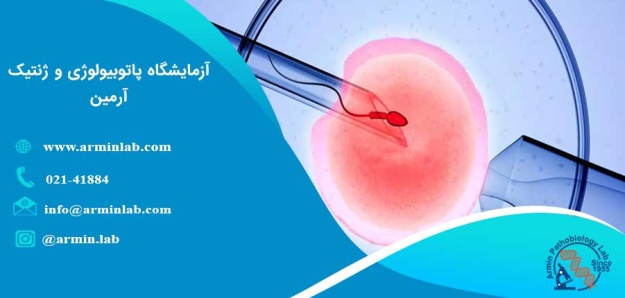 فریز کردن جنین