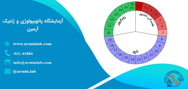 نحوه محاسبه تخمک گذاری
