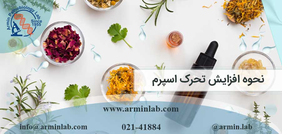 نحوه افزایش تحرک اسپرم