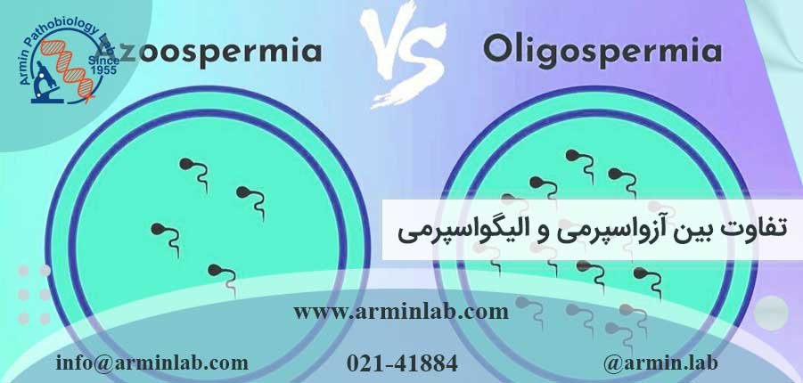 تفاوت-بین-آزواسپرمی-و-اولیگواسپرمی-arminlab4 تفاوت آزواسپرمی و الیگواسپرمی