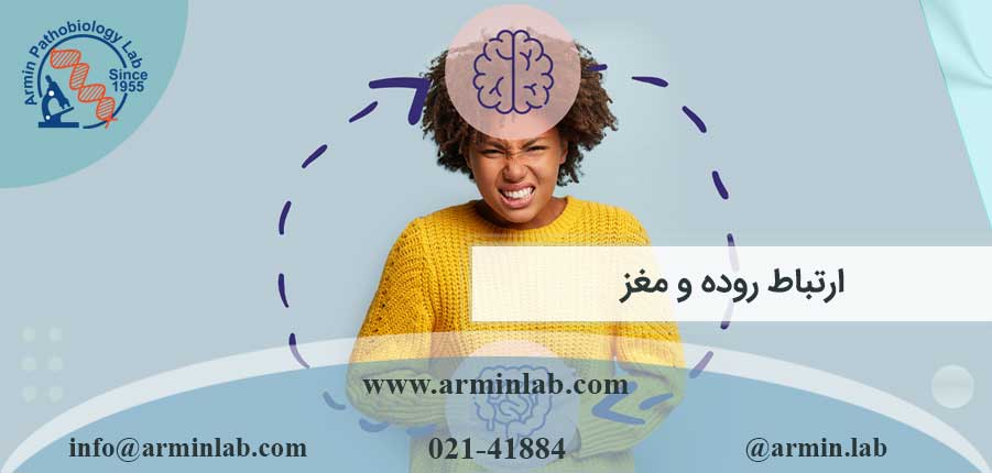 ارتباط روده و مغز