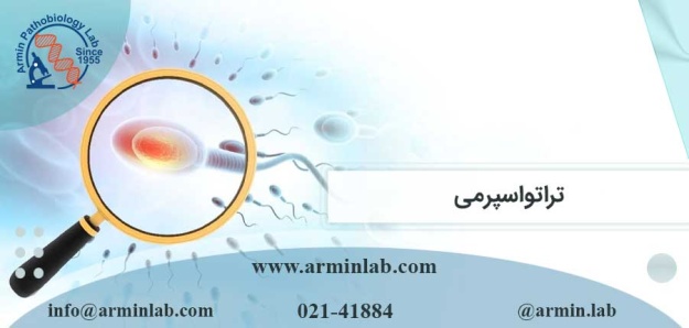 تراتوسپرمی چیست؟