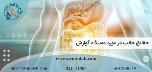 حقایق جالب در مورد دستگاه گوارش