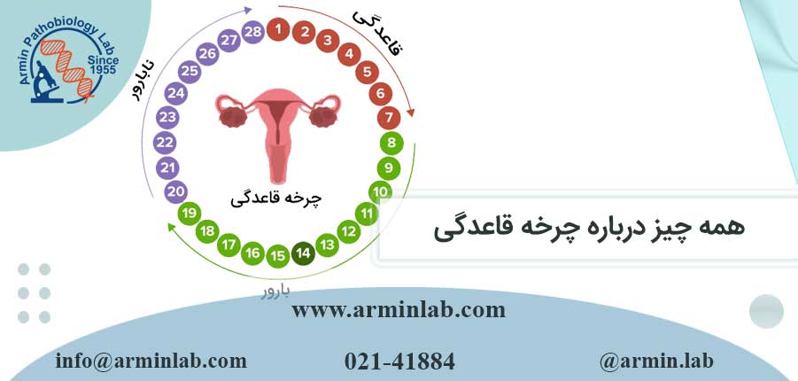 همه چیز درباره چرخه قاعدگی