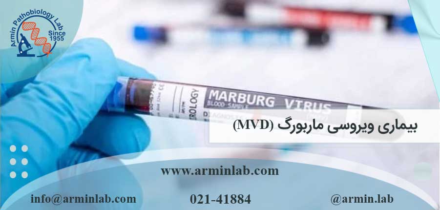 بیماری ویروسی ماربورگ (MVD)
