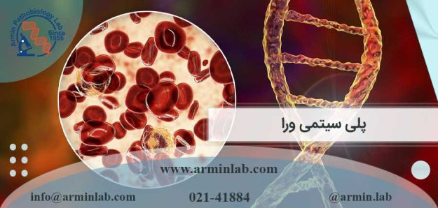 پلی سیتمی ورا