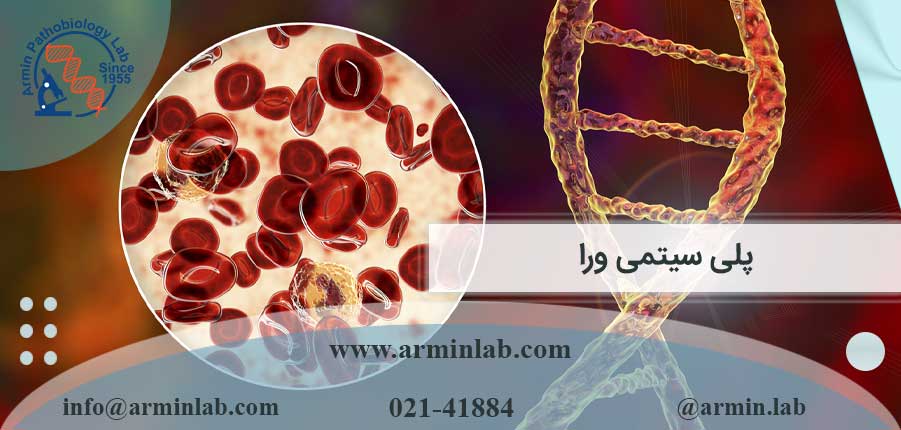 پلی سیتمی ورا